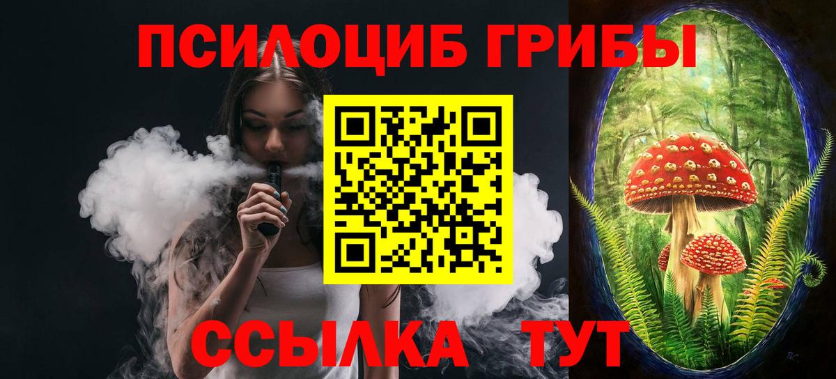 Псилоцибиновые грибы MAGIC MUSHROOMS Коряжма