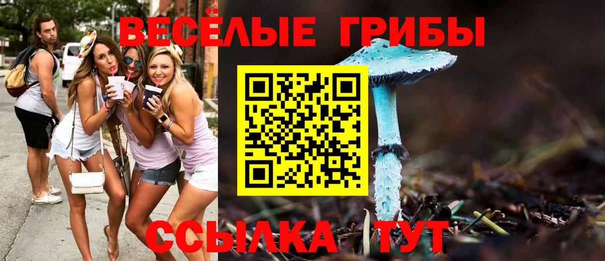 Коряжма  Псилоцибиновые грибы Psilocybe  Вход с VPN  Псилоцибиновые грибы мицелий 